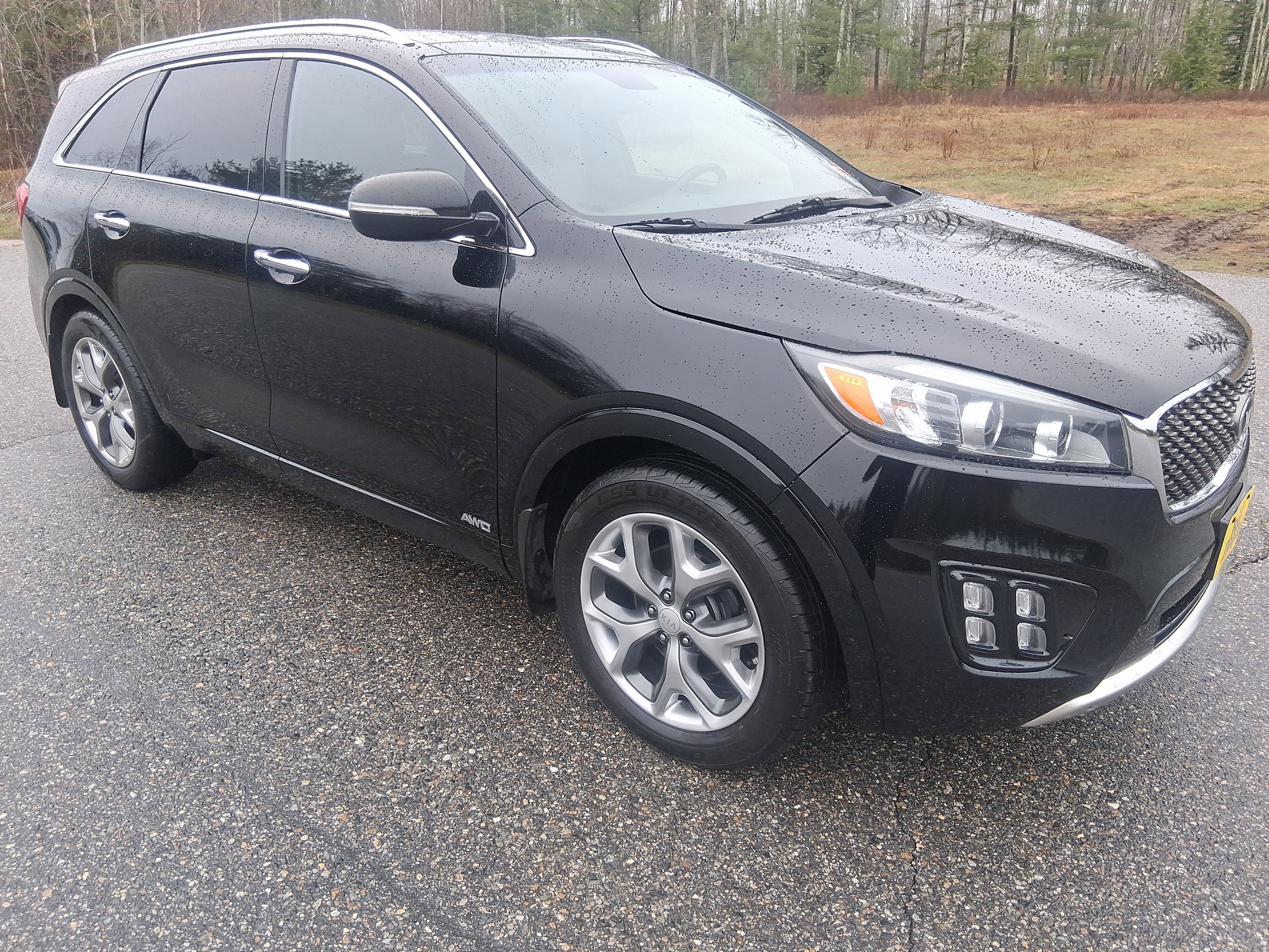 2016 Kia Sorento SXL