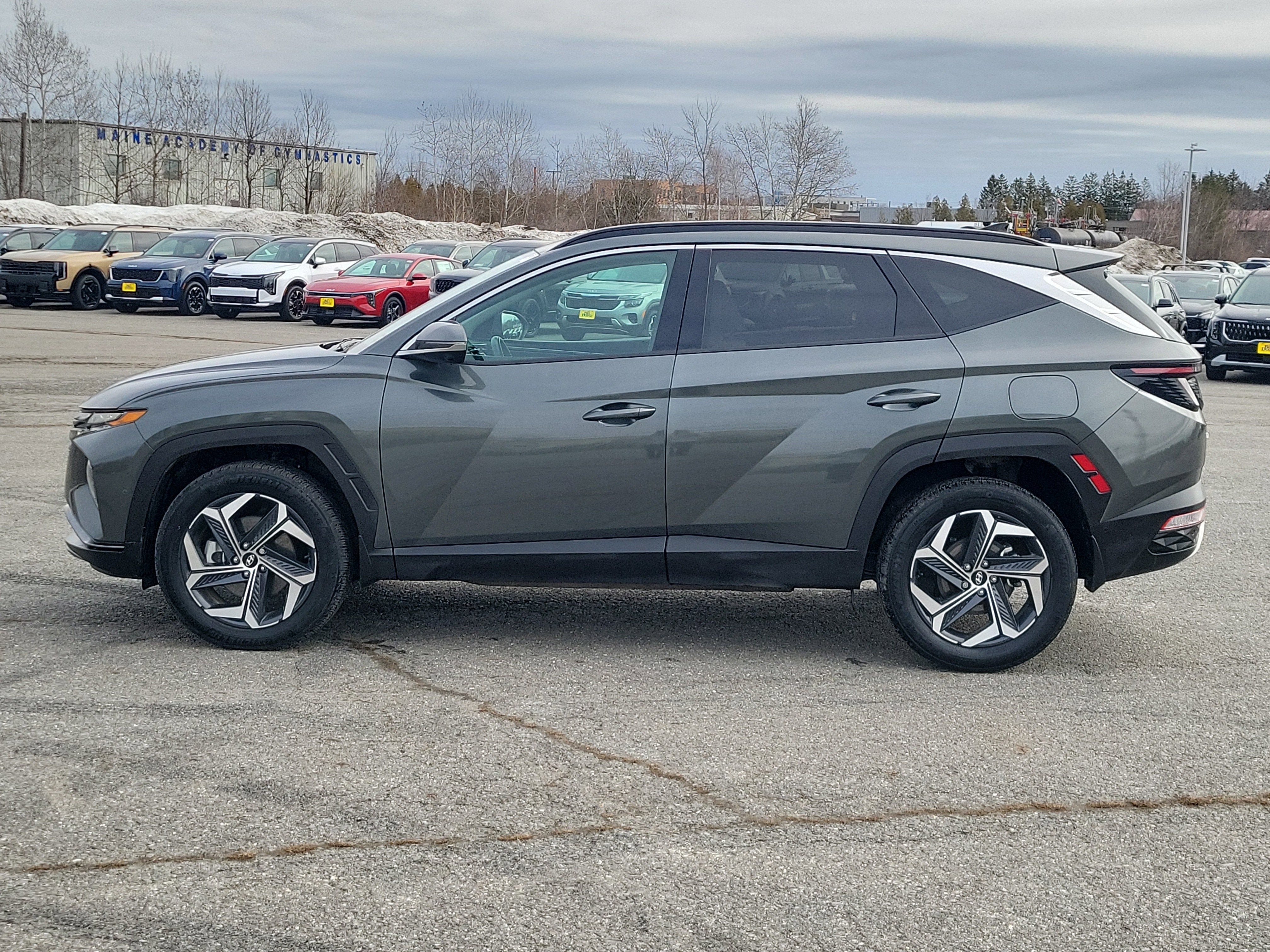 2024 Hyundai Tucson Hybrid Limited